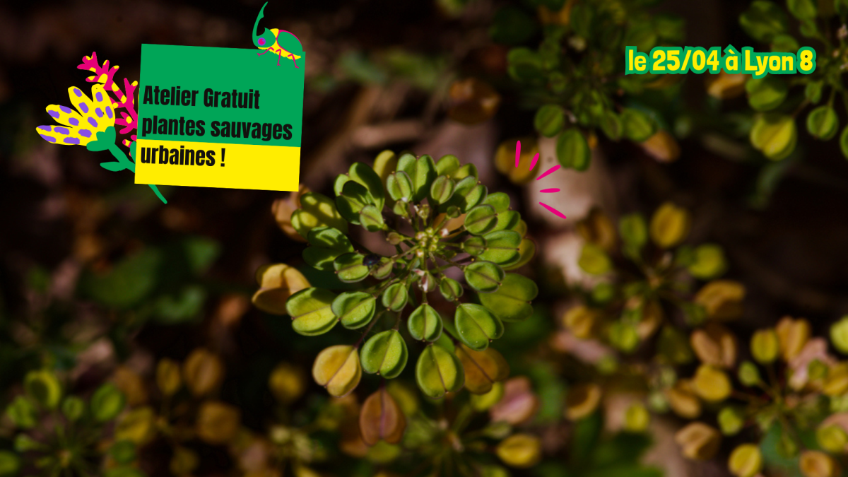 Les folies jardinières - Fête du réseau des jardins partagés de la métropole de Lyon