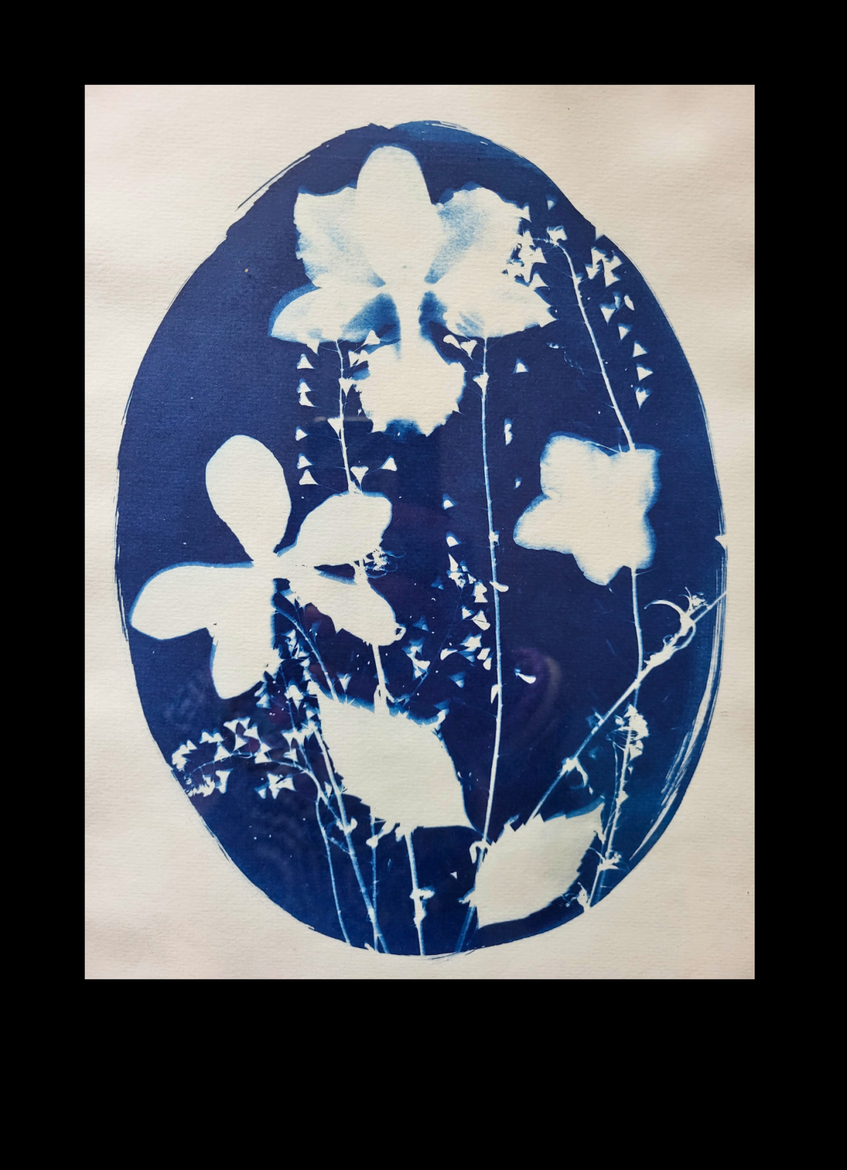 Cyanotype sur papier aquarelle