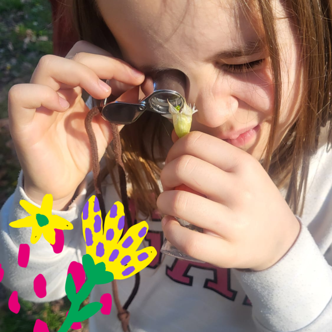 Balade Afterwork et school - Herbier urbain