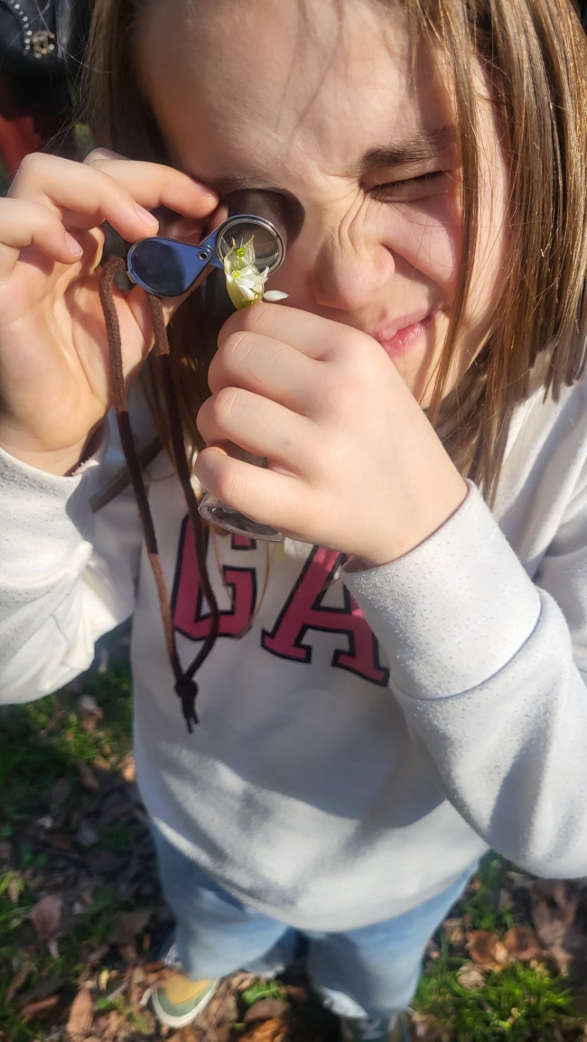 Balade Herbier urbain